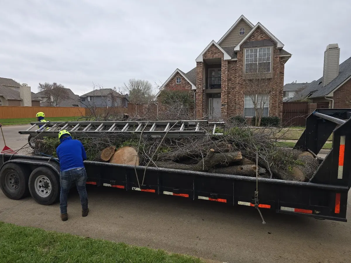Expert Tree Fertilization with proper safety equipment in Saunemin